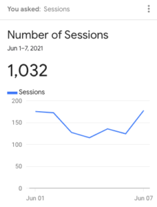 Screen Shot of Google Analytics Data