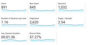 Screen Shot of Google Analytics Report